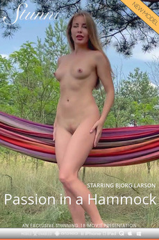 Passion in a Hammock - Bjorg Larson