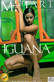 Iguana - Ria A