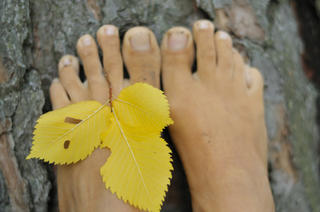 gallery-thumbnail