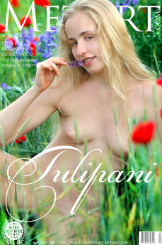 Tulipani - Vera E