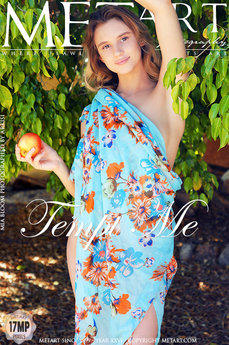 Tempt Me - Mia Bloom