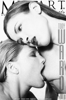 Tony Ward - Multiple Model  Set