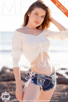 Shoreline Secrets