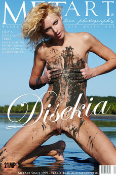 Disekia - Lilly A