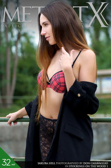 Stockings On The Wood 1 - Sakura Hell