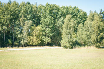 gallery-thumbnail