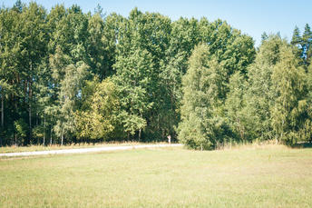 gallery-thumbnail