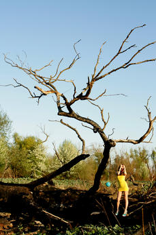 gallery-thumbnail