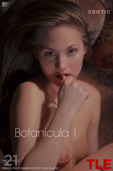 Botanicula 1