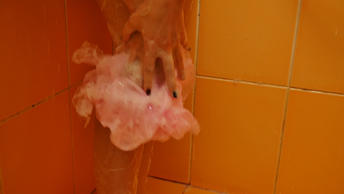 gallery-thumbnail