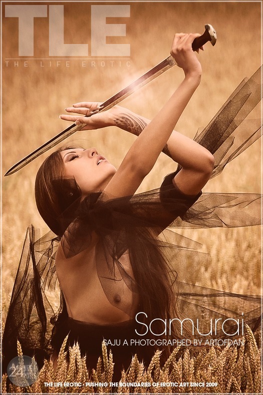Samurai - Saju A