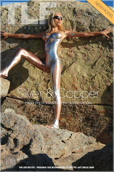 Silver & Copper