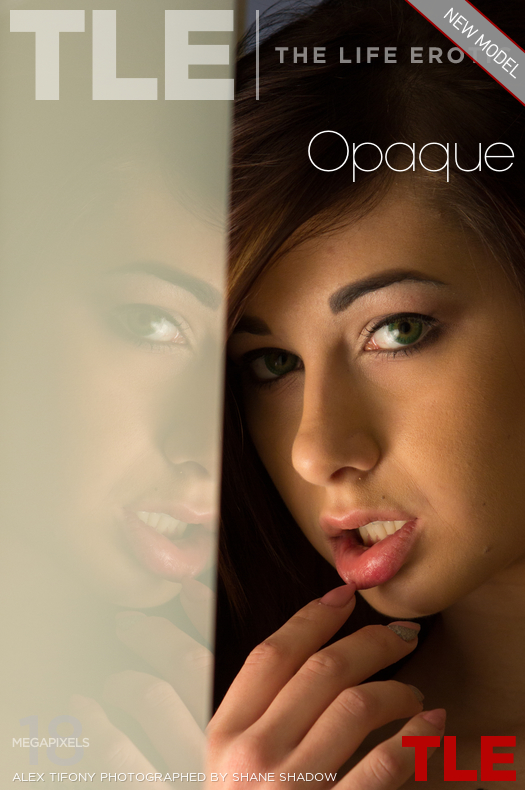 Opaque - Alex Tifony