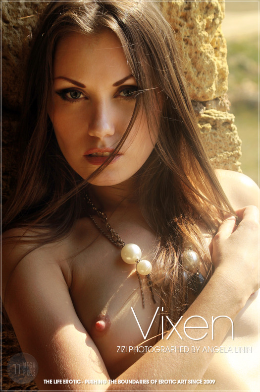 Vixen - Zizi