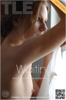 Waiting - Taylor